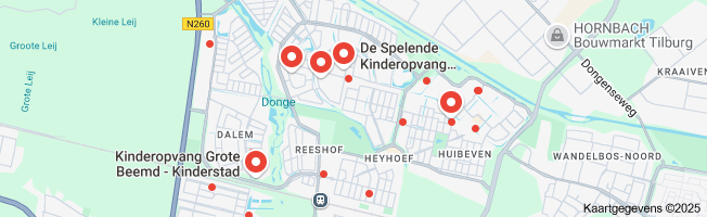 kinderopvang reeshof